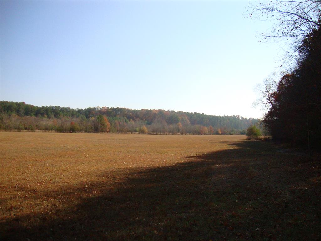 Selected scenes from the Resaca battlefield